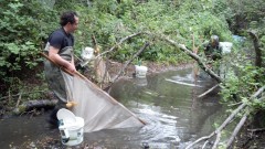 Water Quality: Woelfle-Erskine’s Search for Salmon