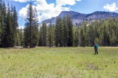 ERG Faculty Lara Kueppers Finds Critical Sierra Meadows Being Overtaken by Forest