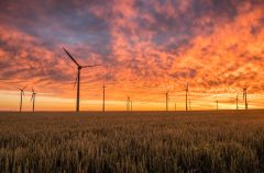 ‘Cheaper to save the climate’— ERG Professor Lara Kueppers Comments on Clean Energy Study