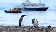 ERG PhD Student Valeri Vasquez Calls to Protect the Antarctic — Before it’s Too Late