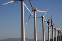 California Must Accelerate Carbon Neutrality Goal, Argues ERG’s Dan Kammen